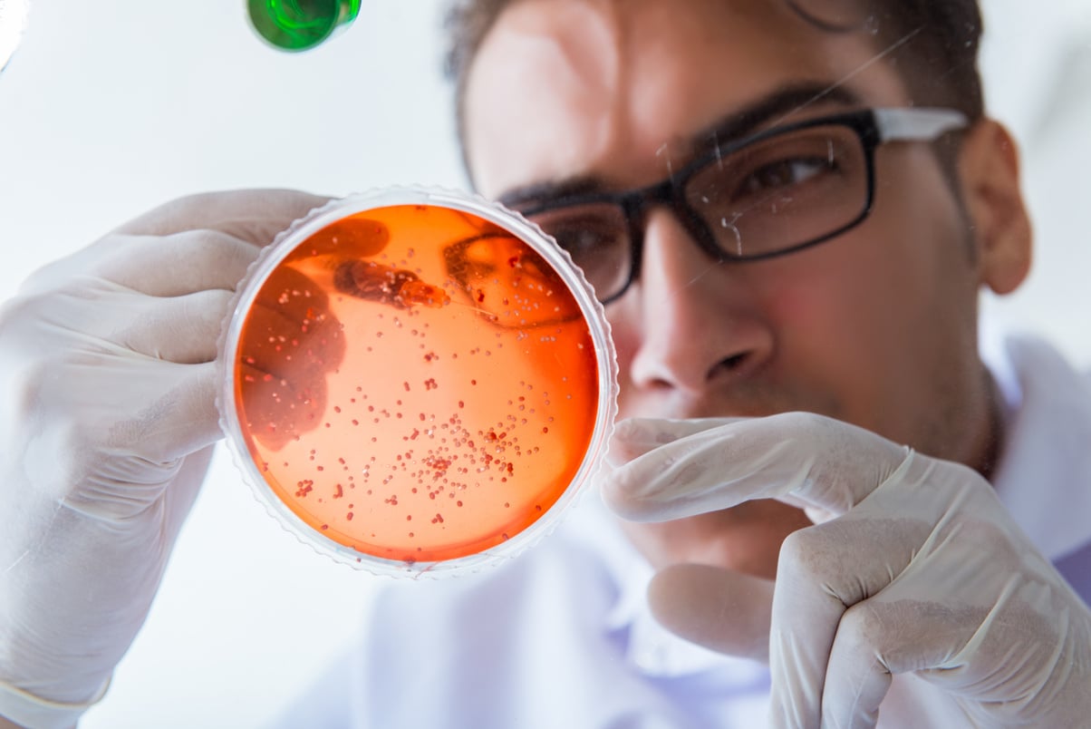 Chemist Working in the Laboratory  